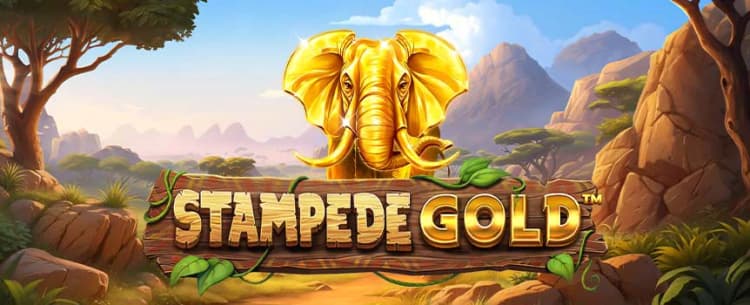Stampede Gold