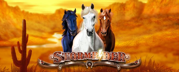 STORM RIDER 